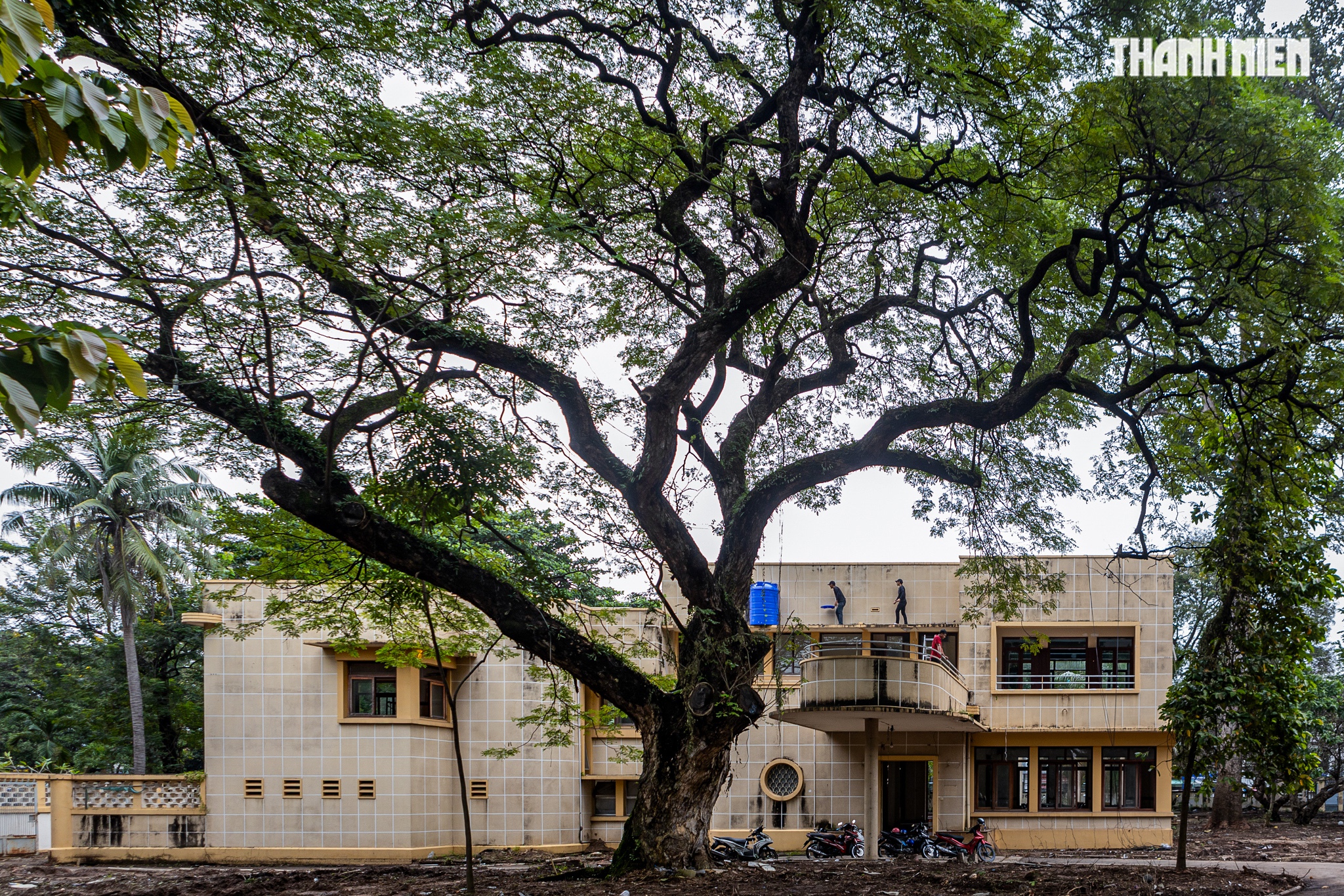 TP.HCM tất bật dọn 'đất vàng' để xây công viên và đài tưởng niệm nạn nhân Covid-19- Ảnh 10.