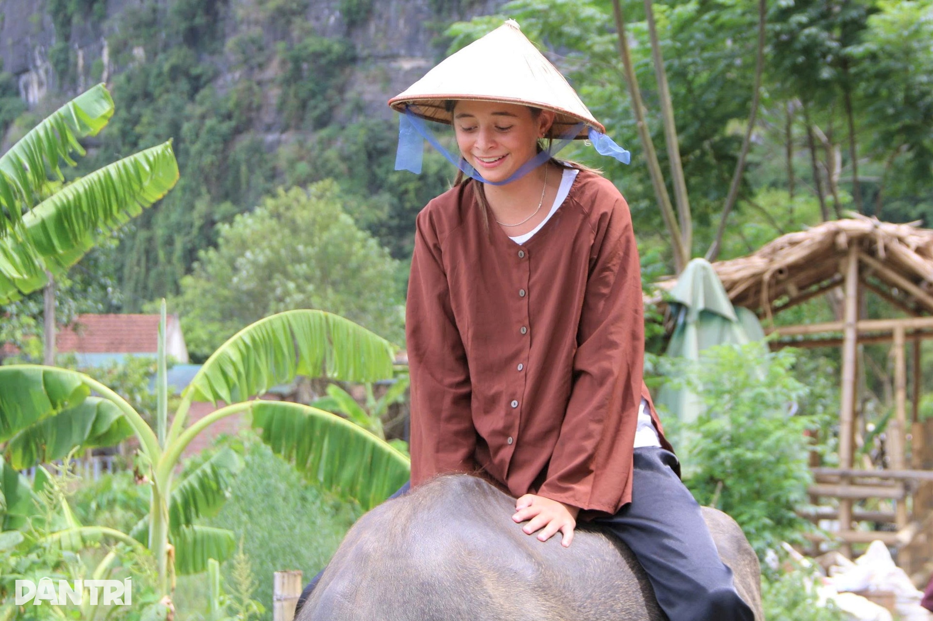 Khách Tây chi tiền triệu để cưỡi trâu, cấy lúa ở Ninh Bình - 5