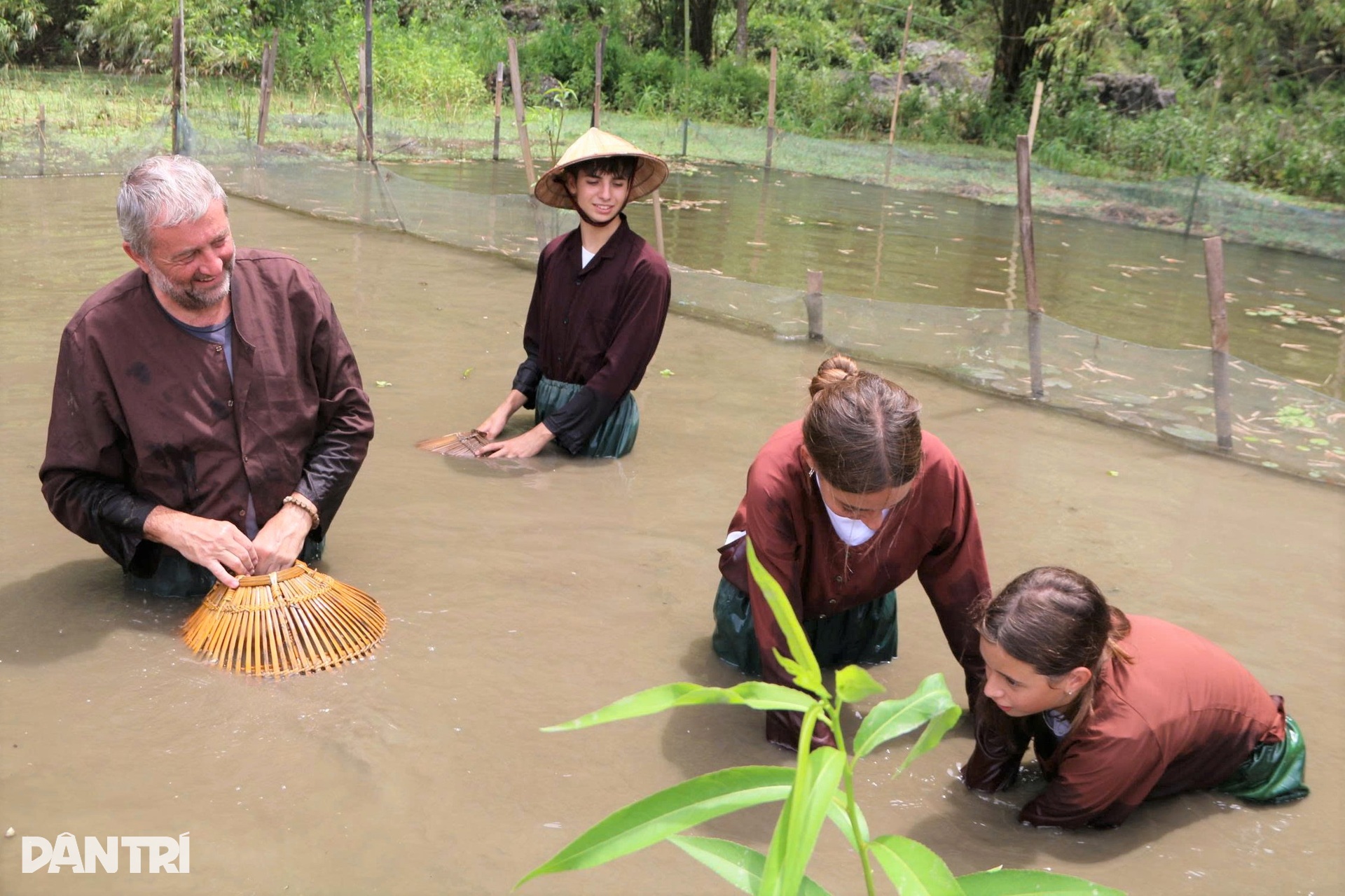 Khách Tây chi tiền triệu để cưỡi trâu, cấy lúa ở Ninh Bình - 7