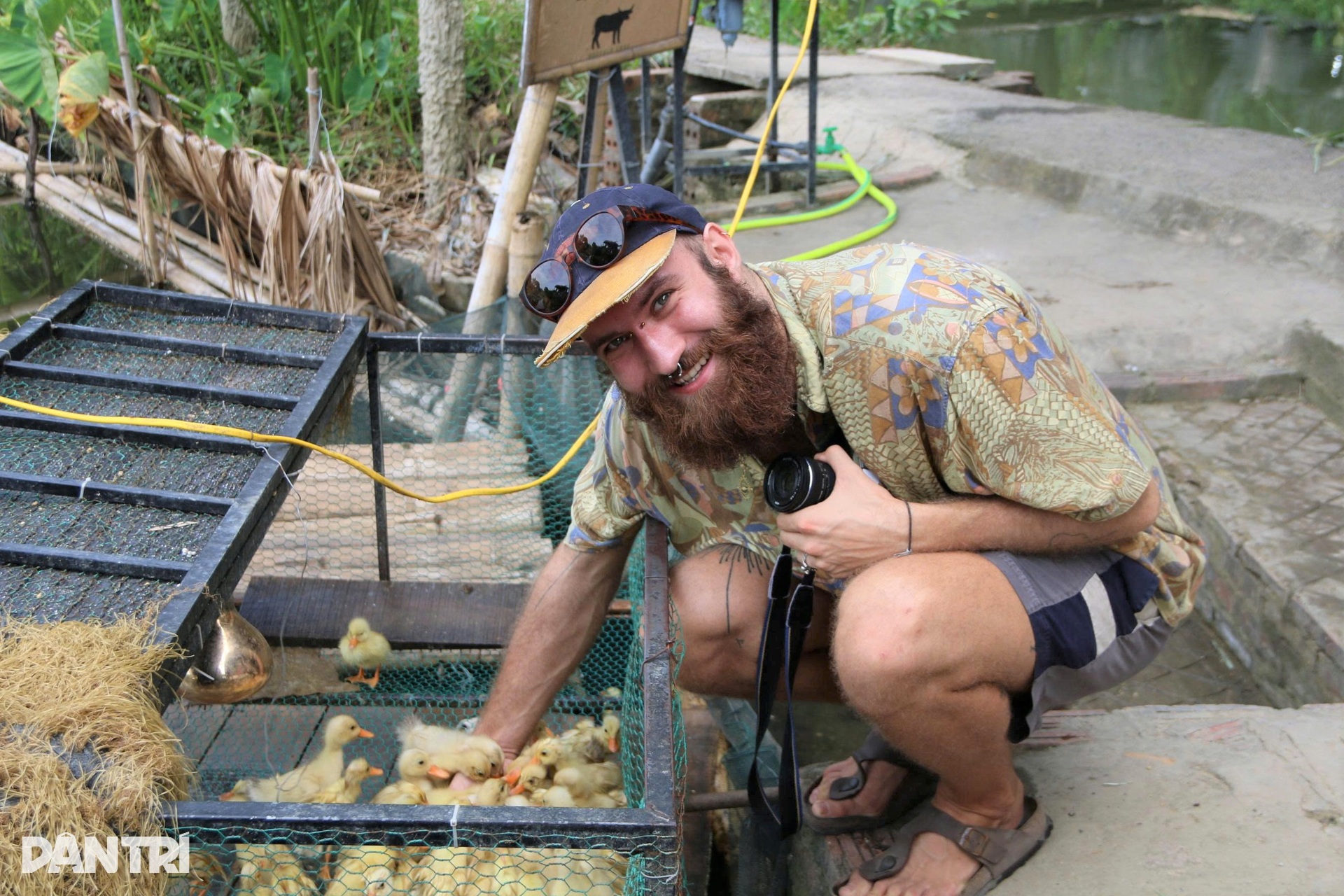 Khách Tây chi tiền triệu để cưỡi trâu, cấy lúa ở Ninh Bình - 12