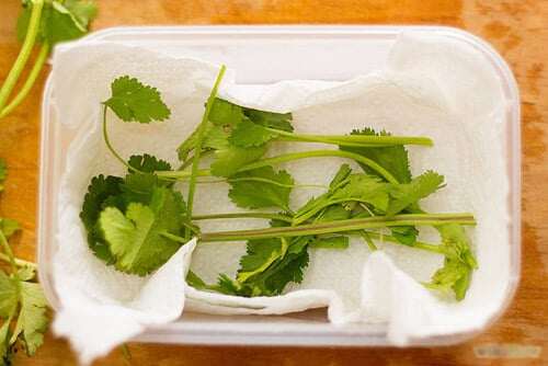 Mua nhiều rau mùi, đừng cho ngay vào tủ lạnh, thêm vài bước nữa để lâu vẫn xanh như mới - 4