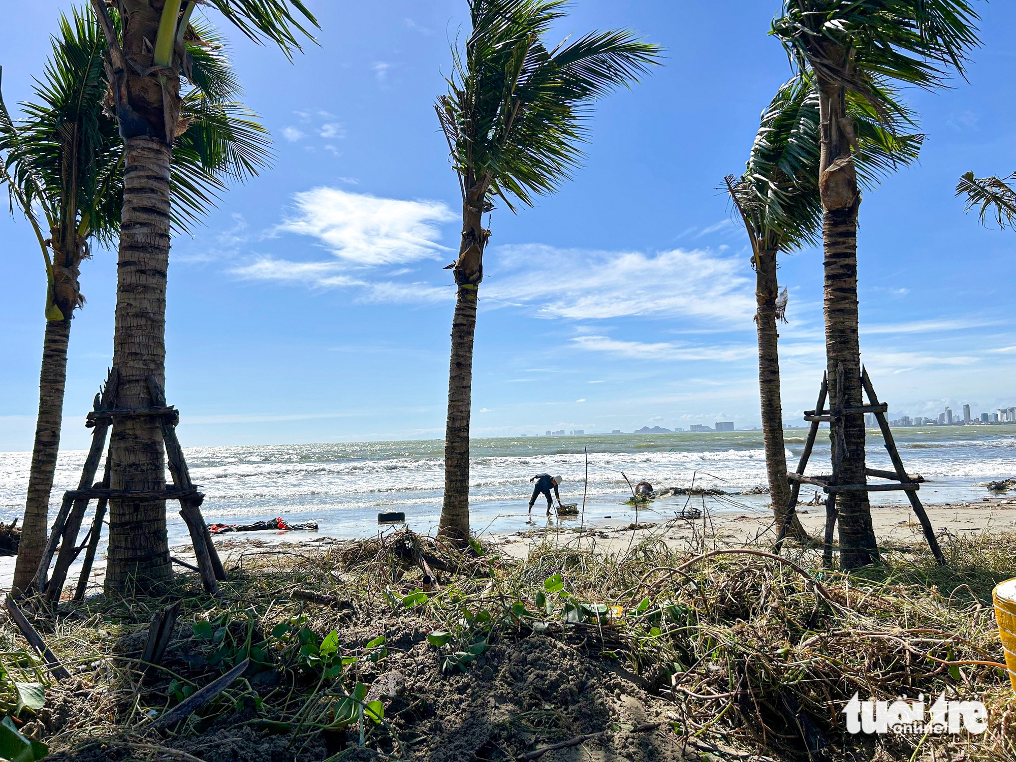 Đà Nẵng: Khẩn trương dọn rác ngổn ngang đường phố sau bão số 13 7 Đà Nẵng - Ảnh 7.