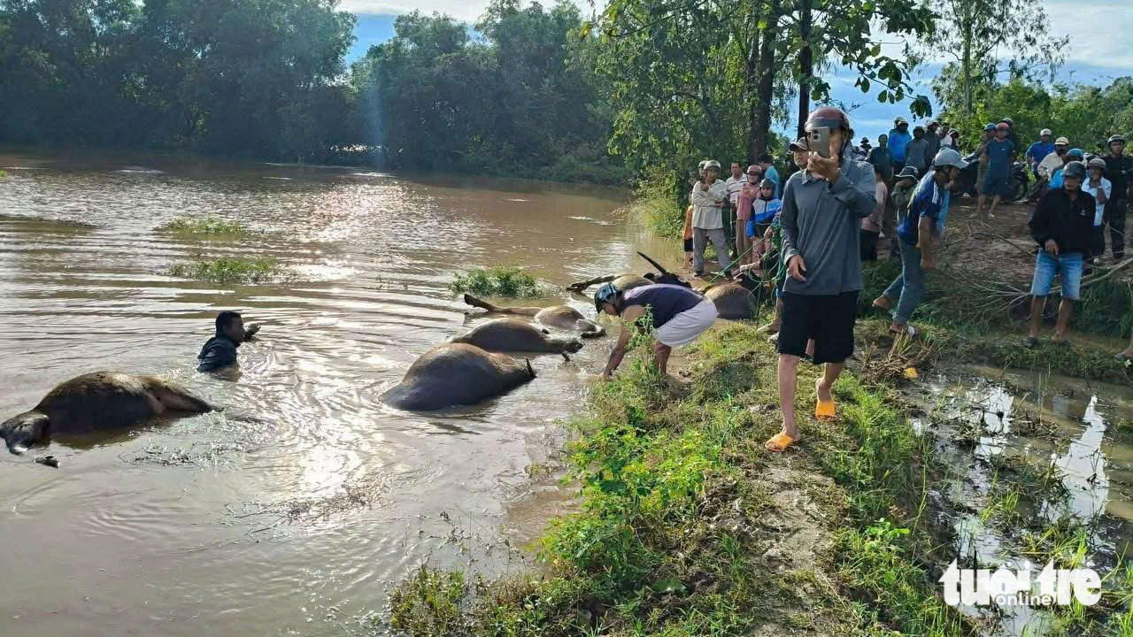 Ngập nặng ở xã biên giới Đắk Lắk, phải sơ tán hơn 500 hộ dân- Ảnh 2.