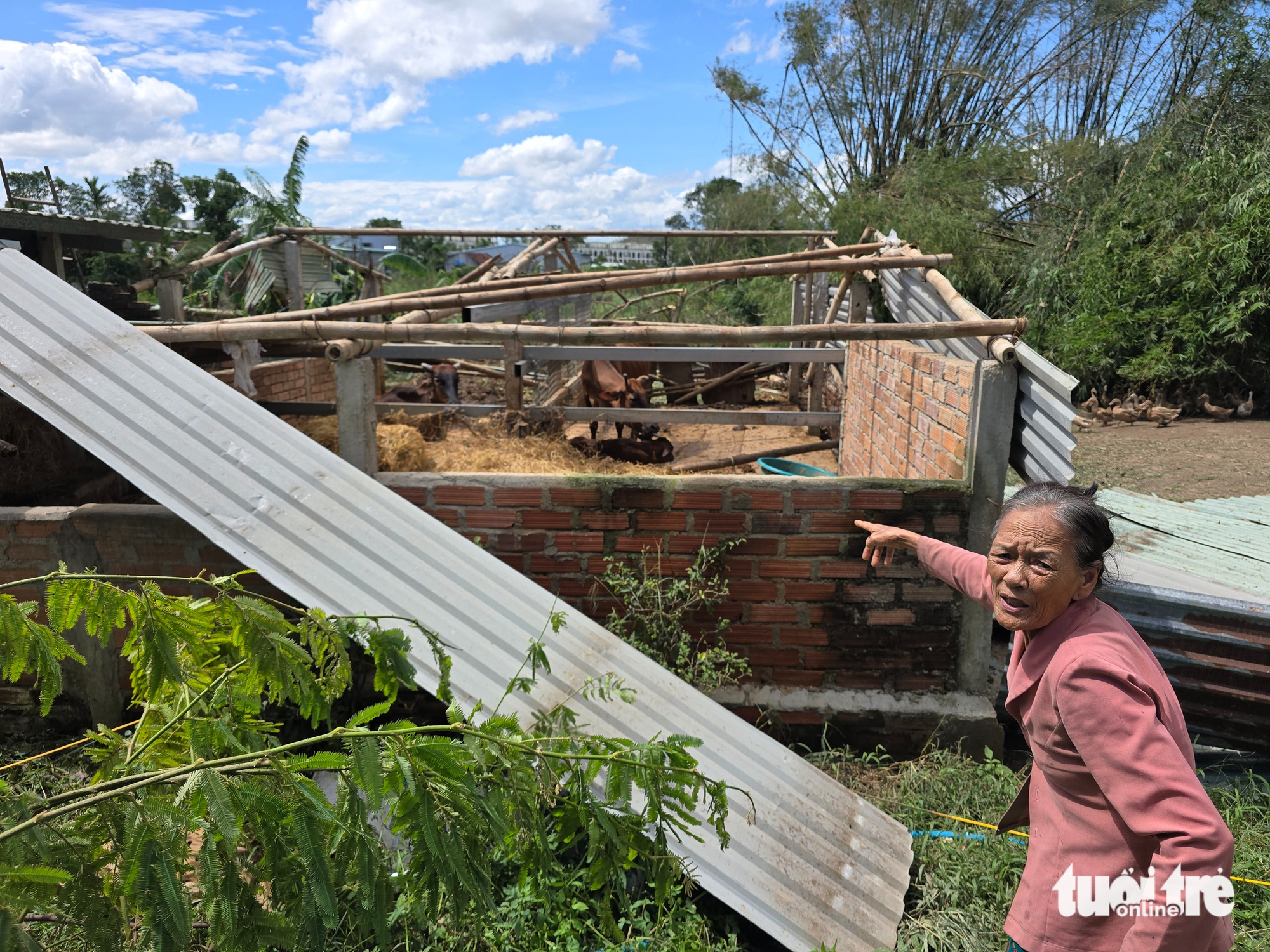 Trong những ngôi nhà không còn mái vì bão Kalmaegi - Ảnh 3.