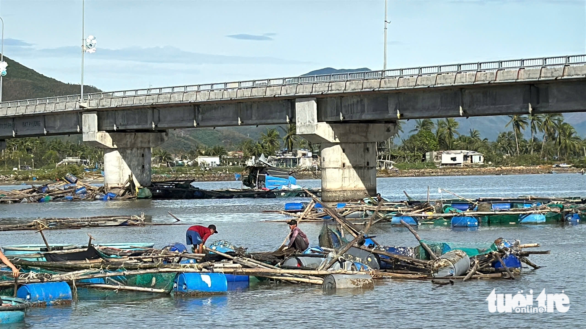 bão số 13 - Ảnh 3.