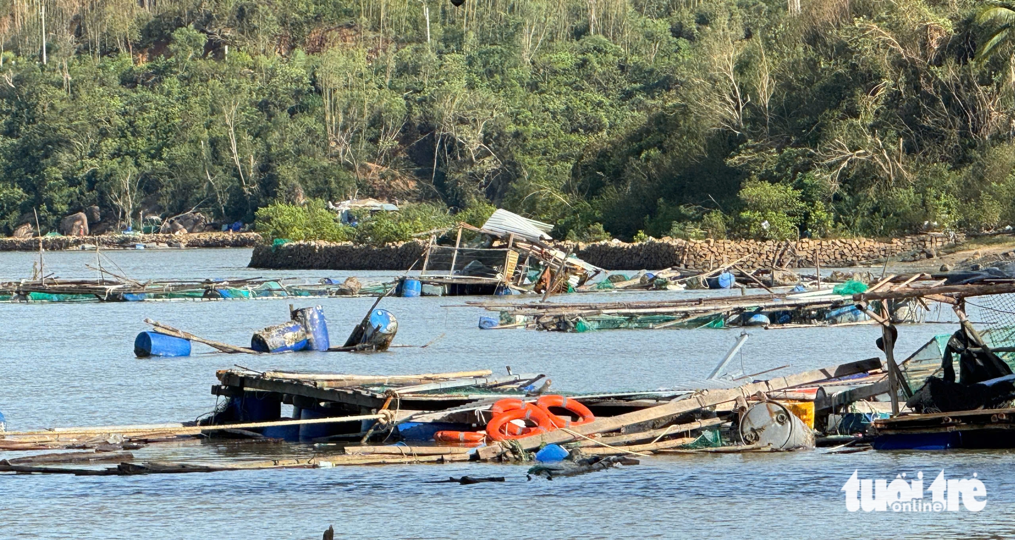 bão số 13 - Ảnh 7.
