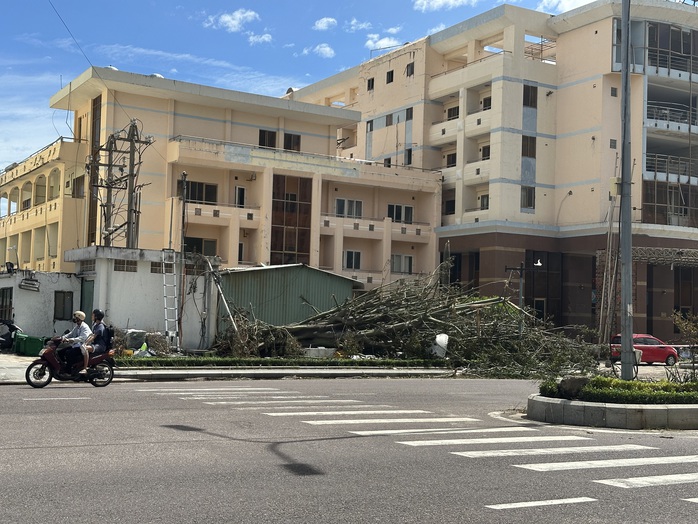 Gia Lai tan hoang sau bão số 13 - Ảnh 3.