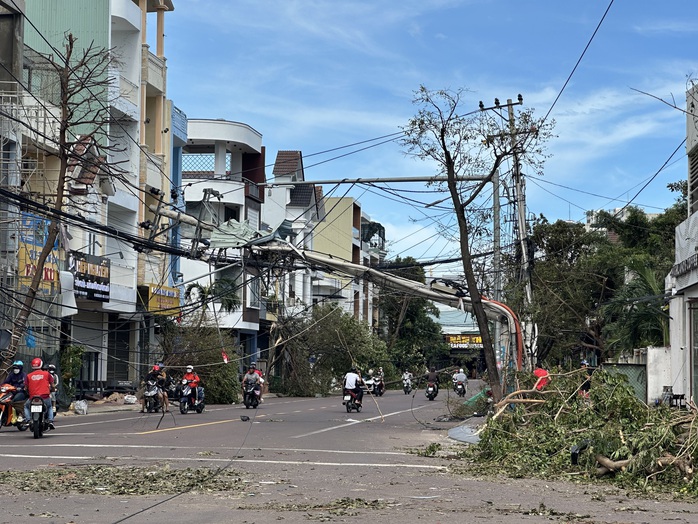 Gia Lai tan hoang sau bão số 13 - Ảnh 4.