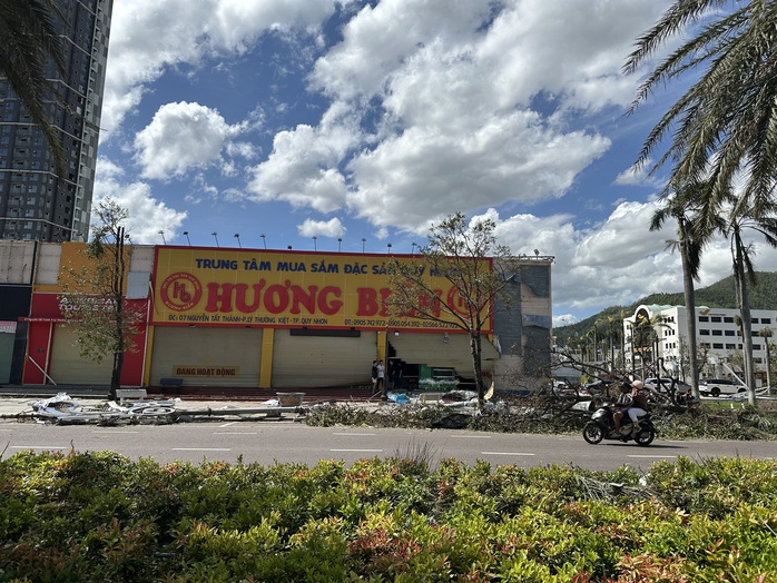 Gia Lai tan hoang sau bão số 13 - Ảnh 7.