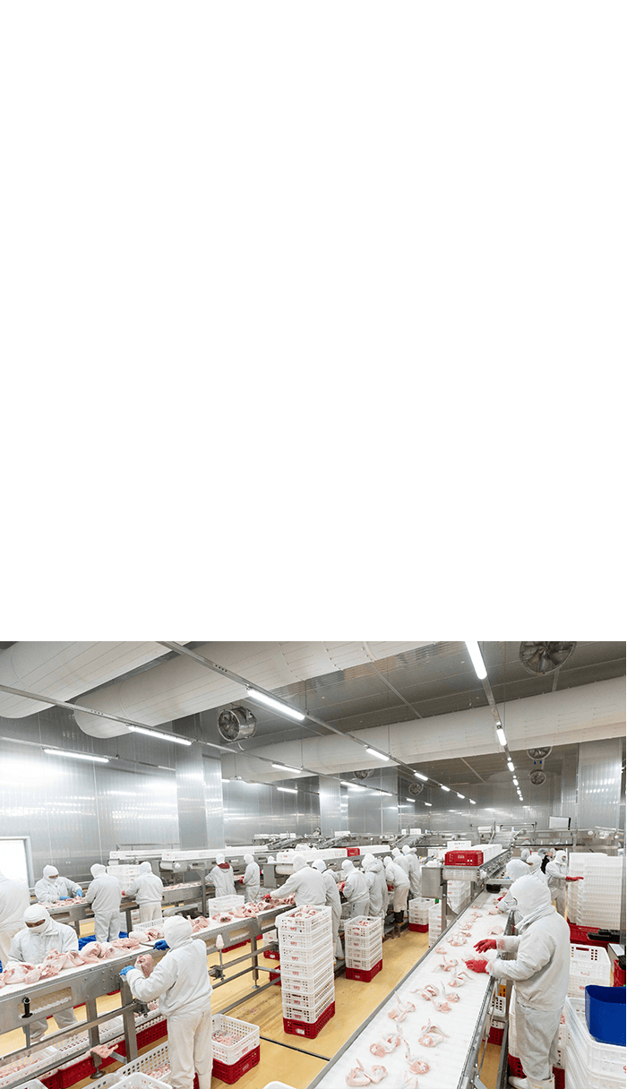 1762519235 404 Masan Tai cau truc la quyet dinh lieu linh nhung