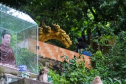 Ngôi chùa ẩn mình trên núi ở TPHCM có đàn khỉ hàng trăm con, hút khách ghé thăm