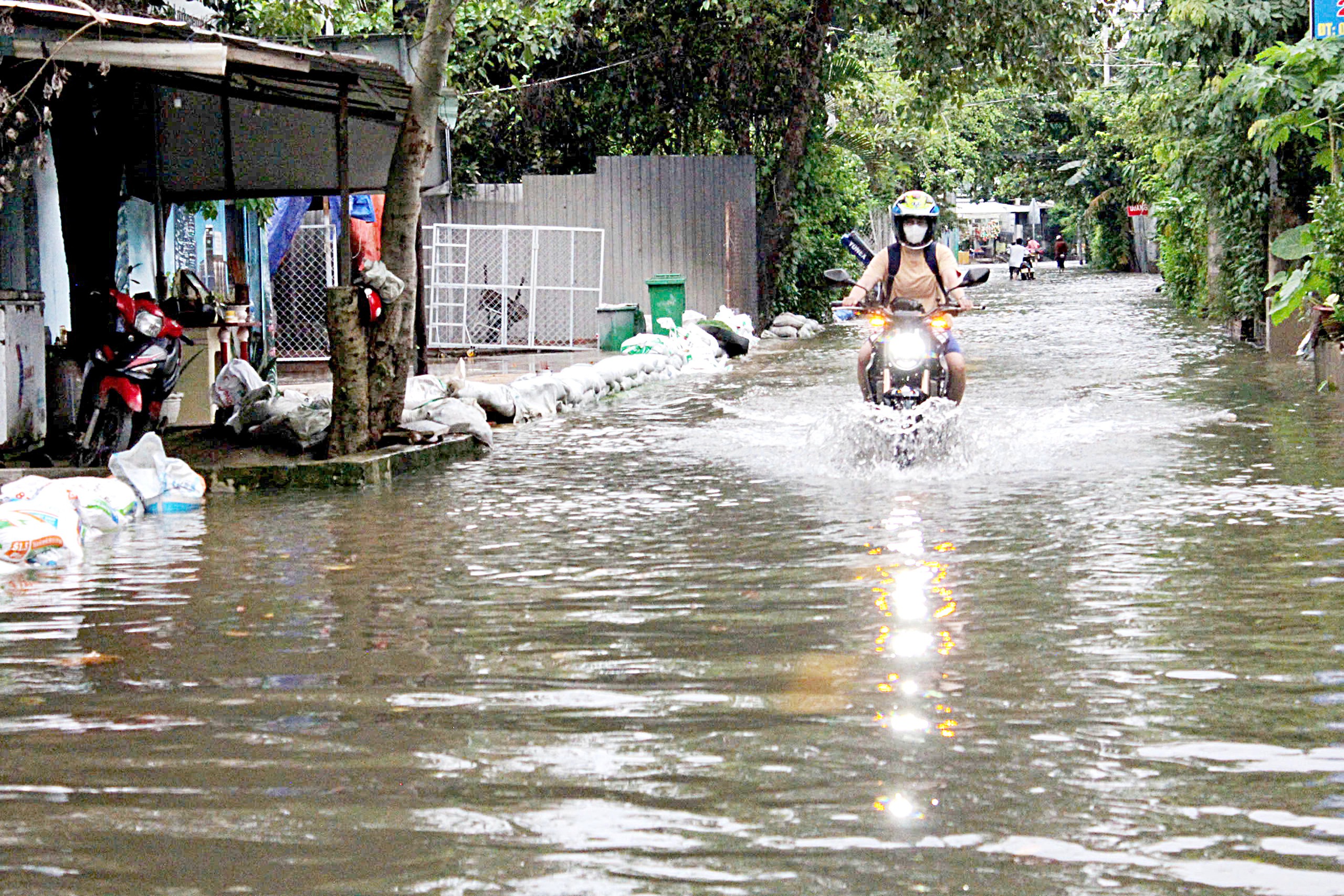Thanh Đa - Ảnh 2.