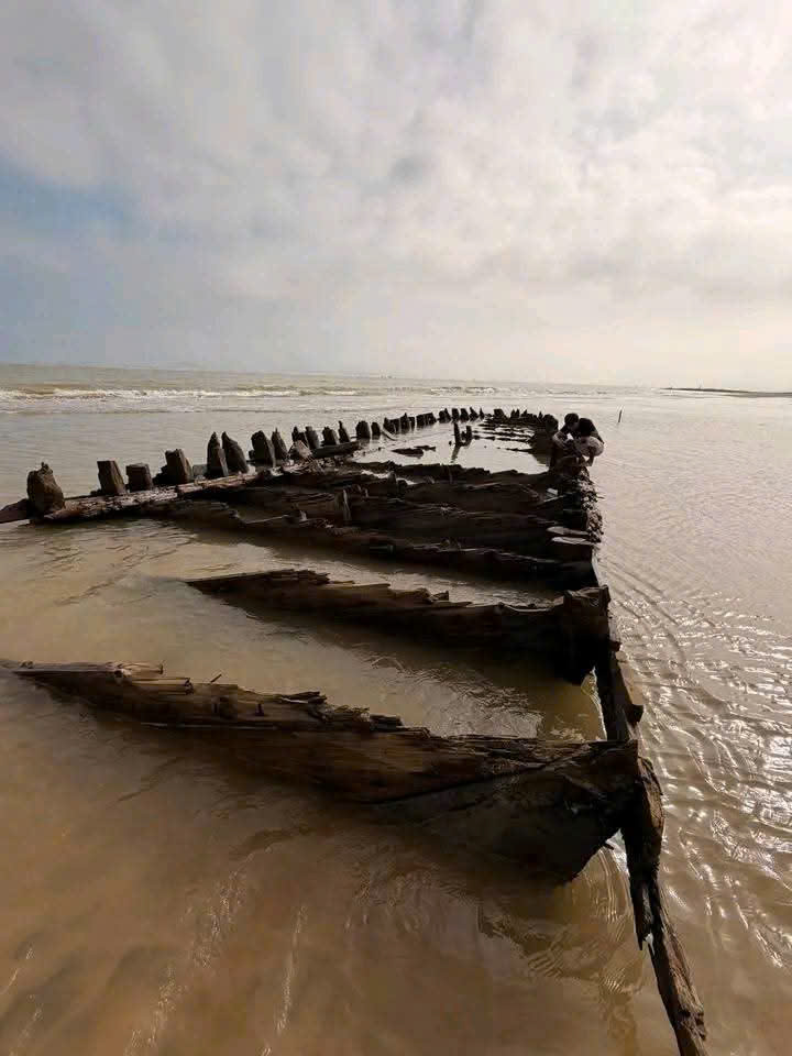 Tàu cổ Hội An lộ diện Sau bão số 13 thu hút du khách tham quan - Ảnh 7.