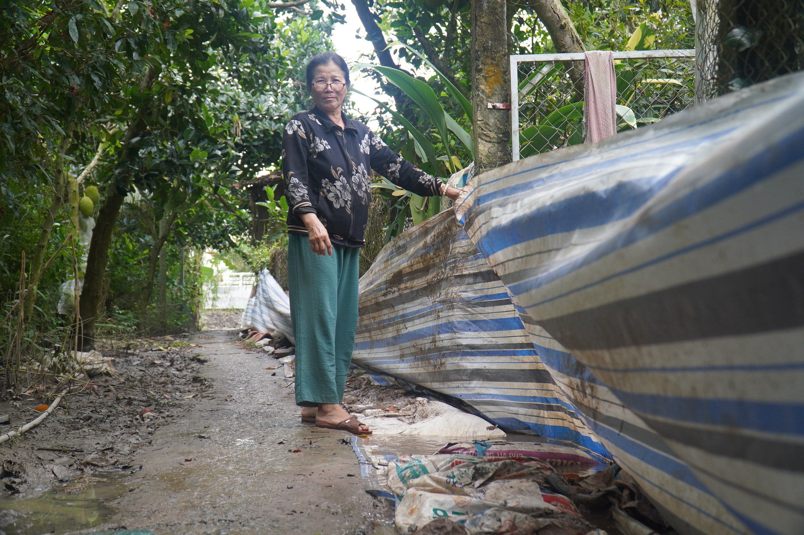 triều cường - Ảnh 2.