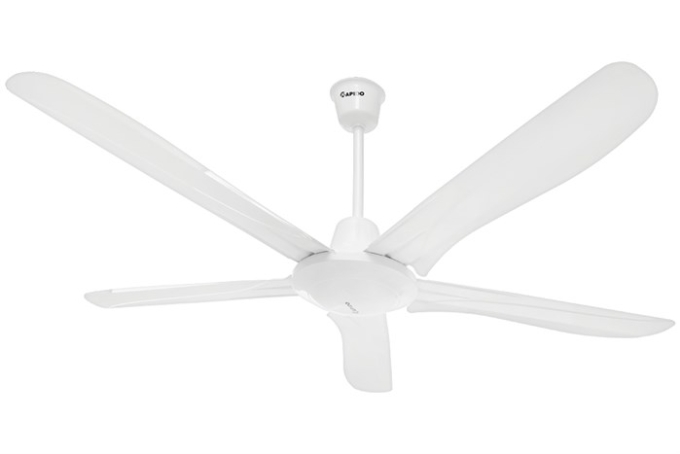 Quạt trần Rapido RCF-5W. Ảnh: Rapido