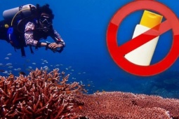 Thái Lan phạt 80 triệu đồng nếu khách dùng kem chống nắng hại san hô