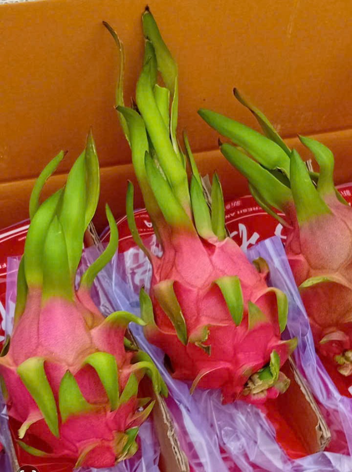 Nhiều tài xế container tố bị “bẫy” khi chở thanh long sang cửa khẩu - Ảnh 2.