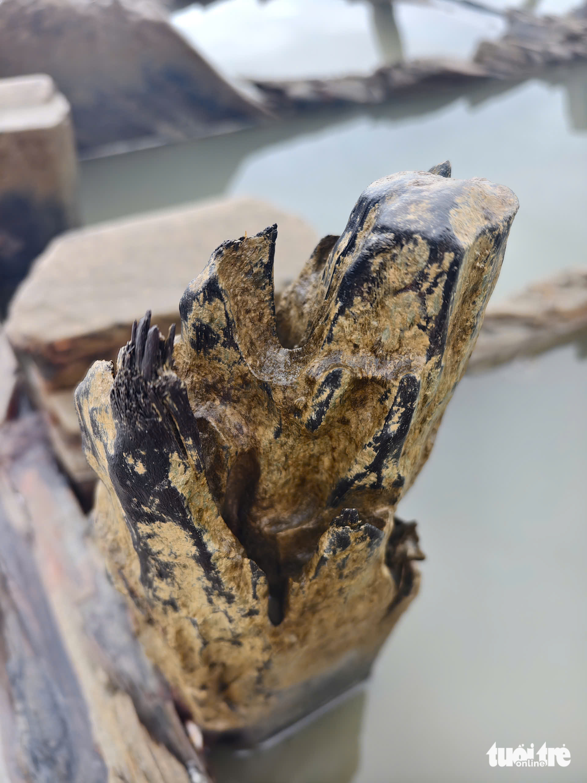 tàu cổ - Ảnh 4.