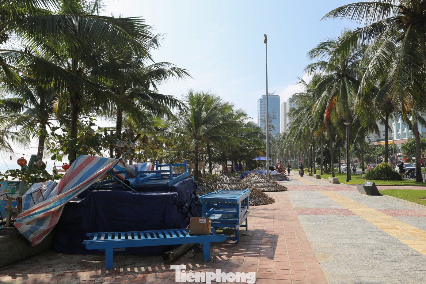 Bãi biển Đà Nẵng lại sạch đẹp như chưa hề có... bão - 21