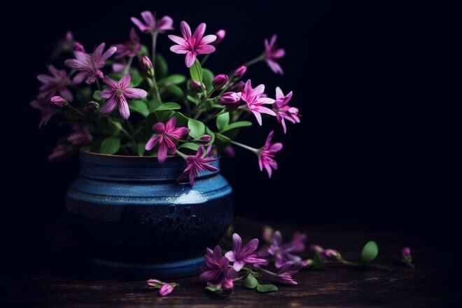 Trong bất kỳ mối quan hệ nào, hiểu được 2 chữ này chính là khôn ngoan nhất - 2