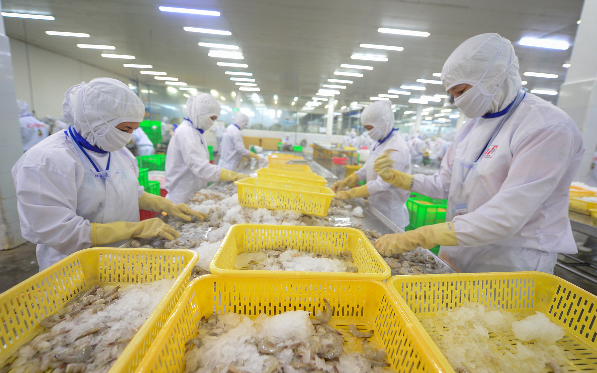 tương lai xanh - Ảnh 2.