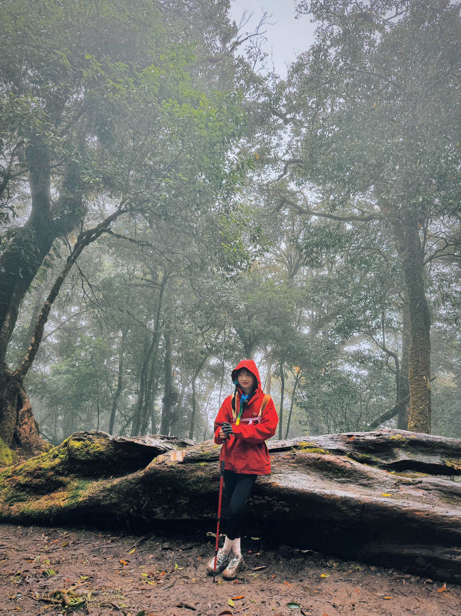 Chinh phục đỉnh Sa Mu 2.756 m giữa mây trời Tây Bắc - 4