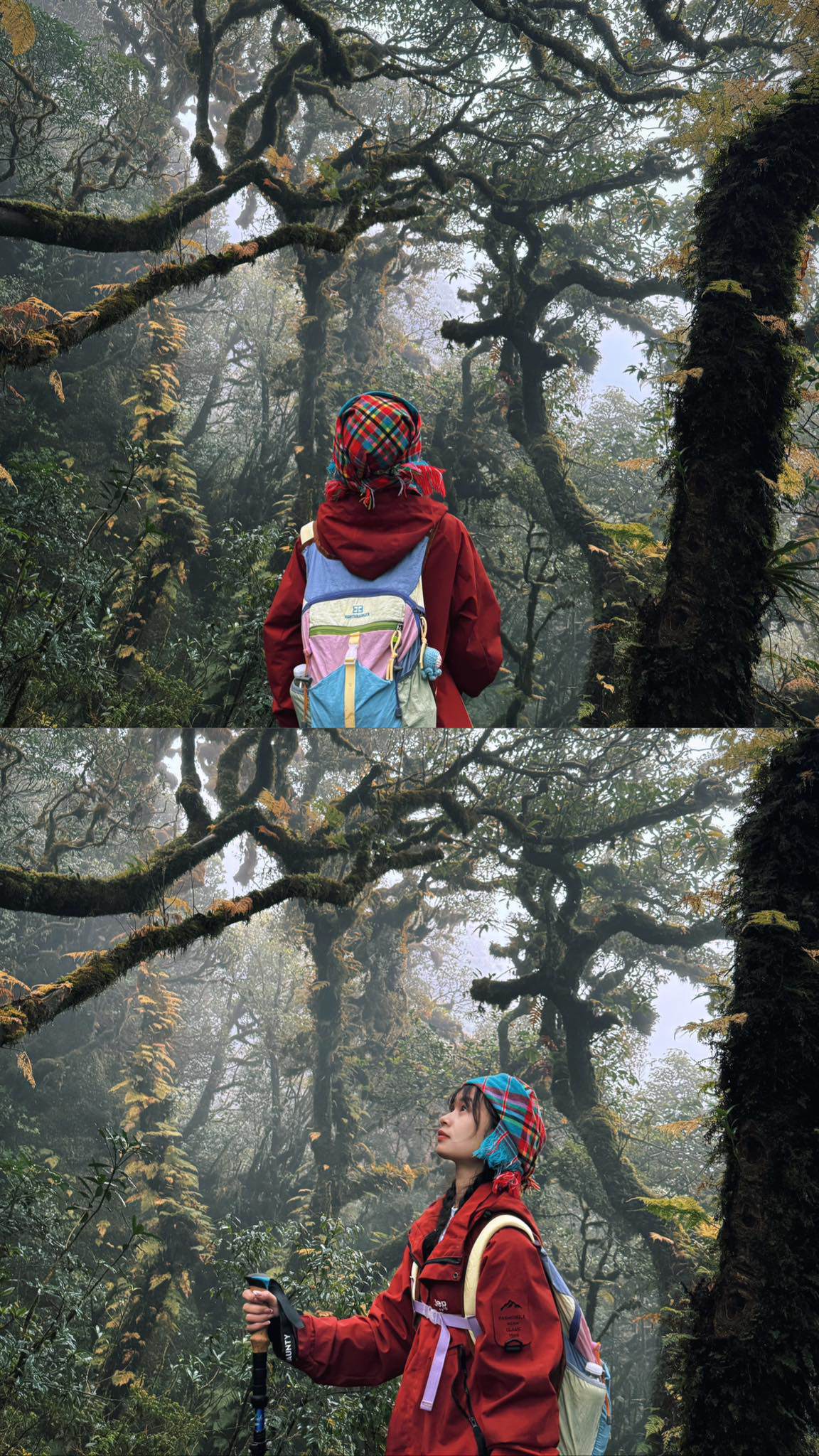 Chinh phục đỉnh Sa Mu 2.756 m giữa mây trời Tây Bắc - 9