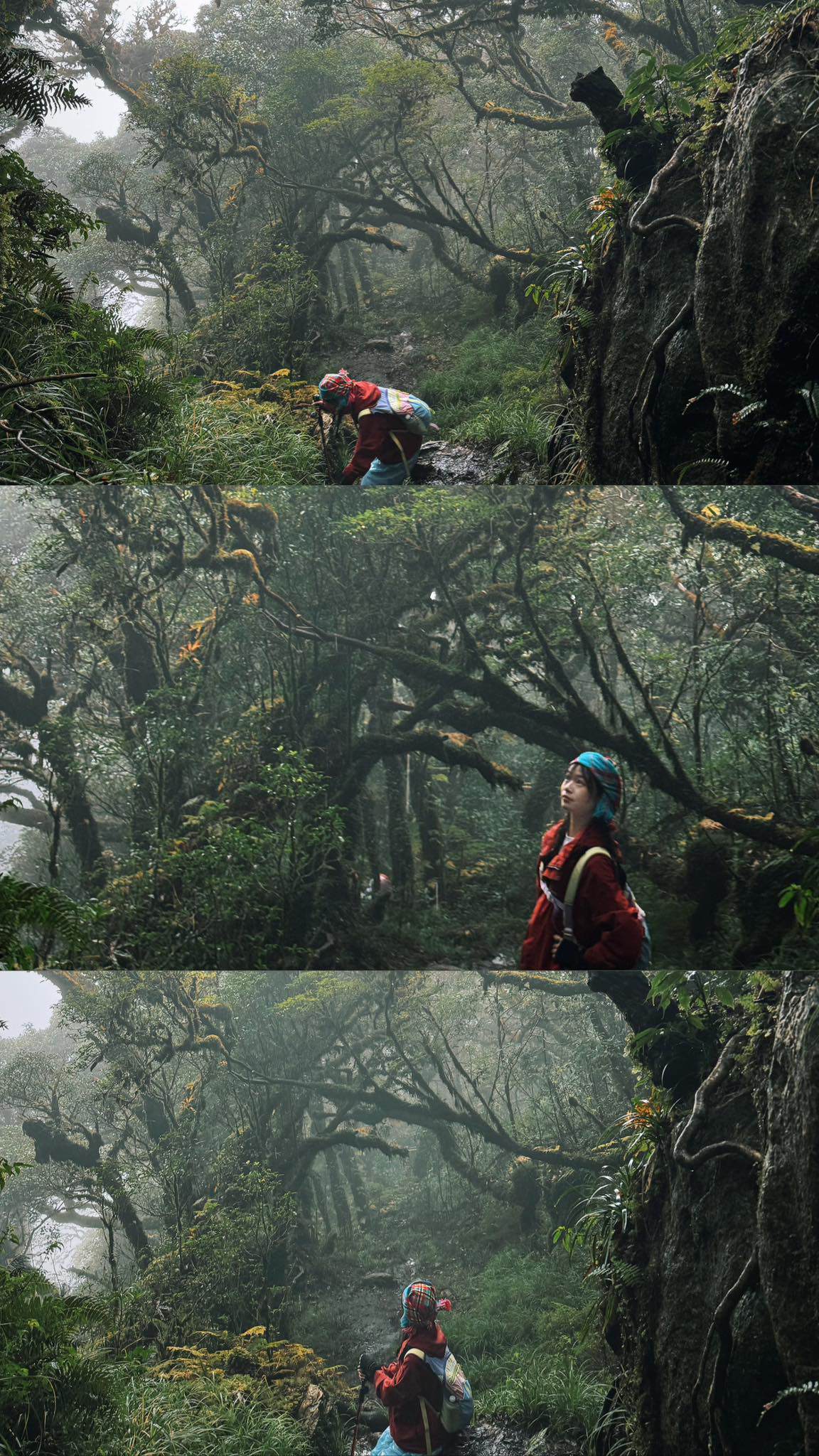 Chinh phục đỉnh Sa Mu 2.756 m giữa mây trời Tây Bắc - 12