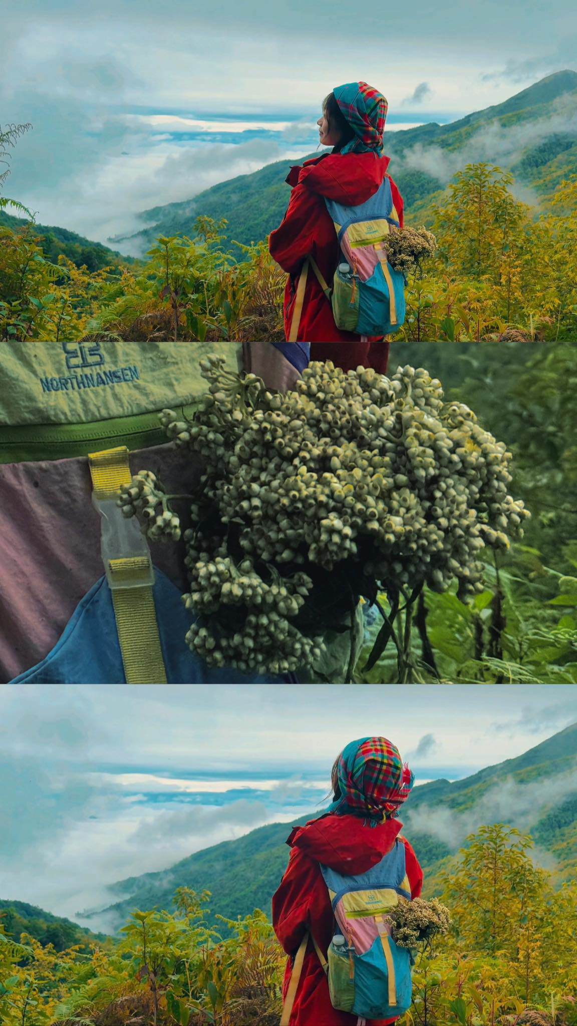 Chinh phục đỉnh Sa Mu 2.756 m giữa mây trời Tây Bắc - 14