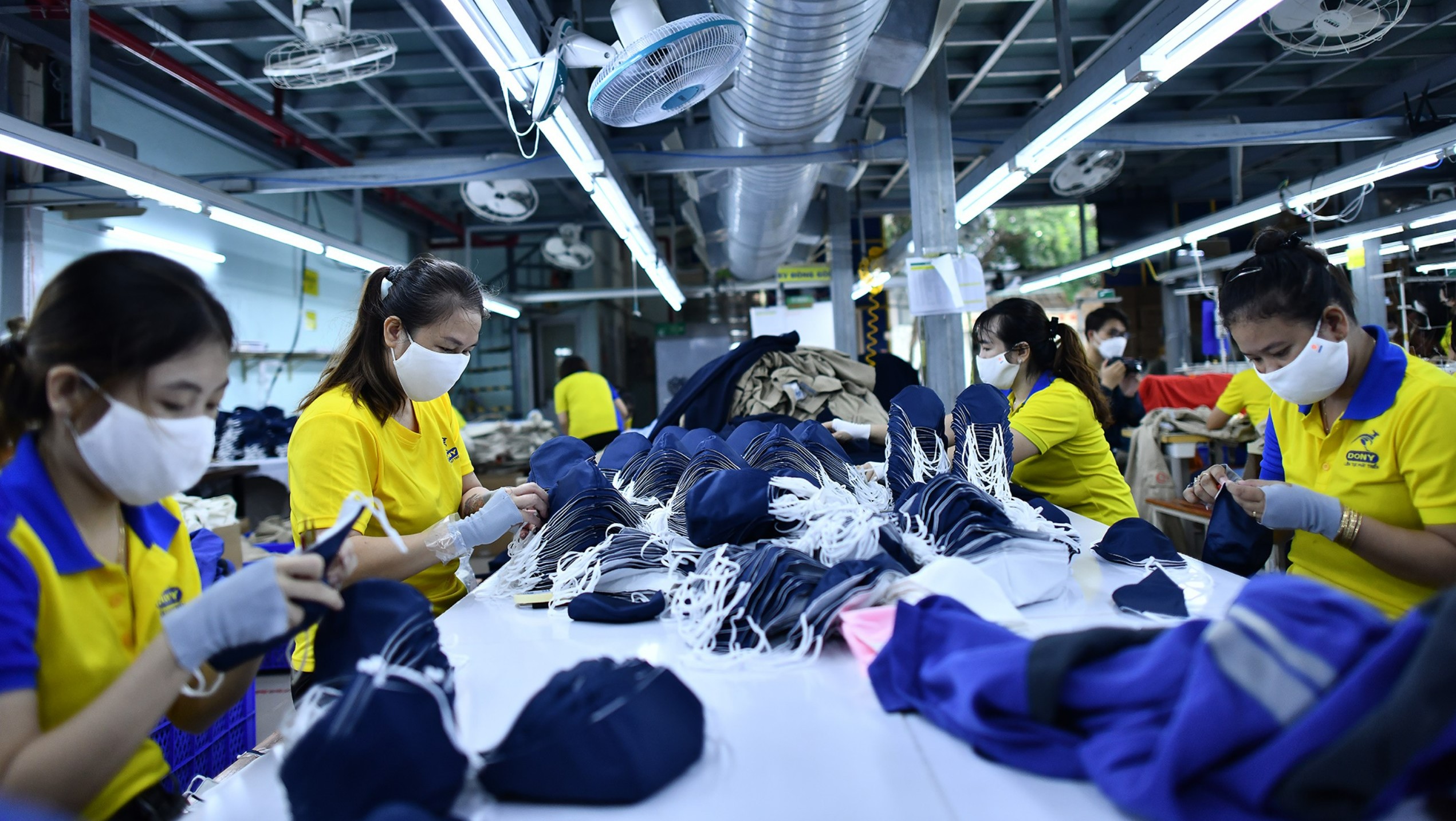 tự học - Ảnh 2.