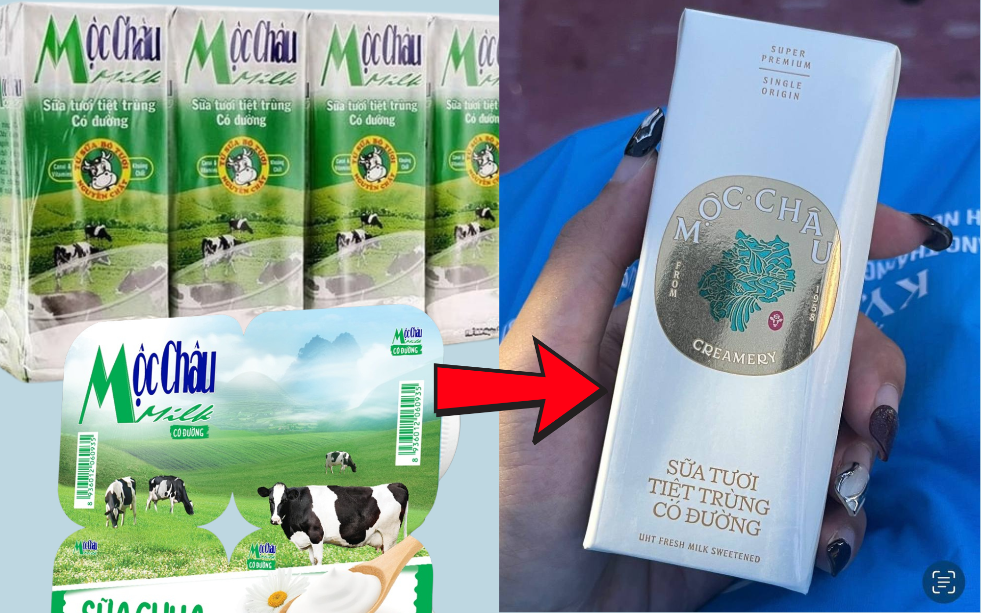 Sữa Mộc Châu thay đổi logo lạ quá- Ảnh 4.