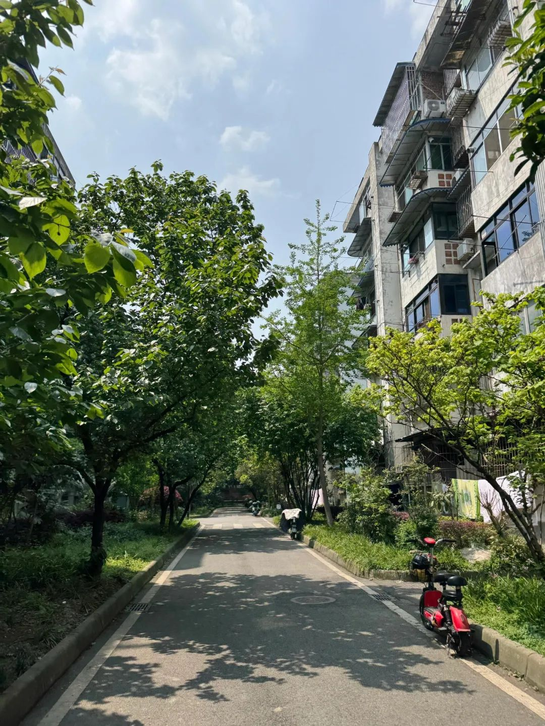 Khi “cũ” thành xu hướng: Người trẻ đang tìm kiếm điều gì trong những khu dân cư xập xệ giữa lòng thành phố?- Ảnh 4.