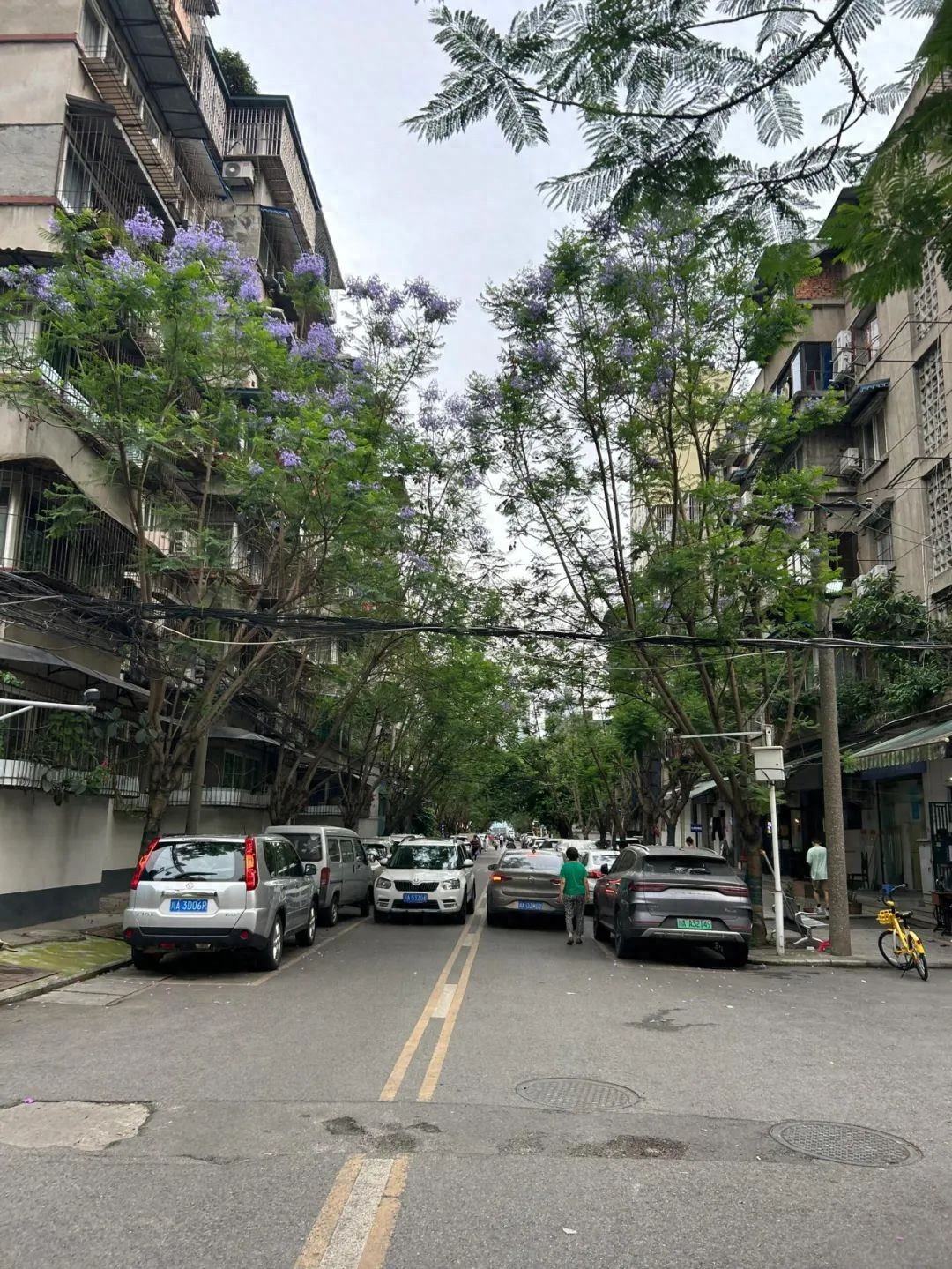 Khi “cũ” thành xu hướng: Người trẻ đang tìm kiếm điều gì trong những khu dân cư xập xệ giữa lòng thành phố?- Ảnh 9.