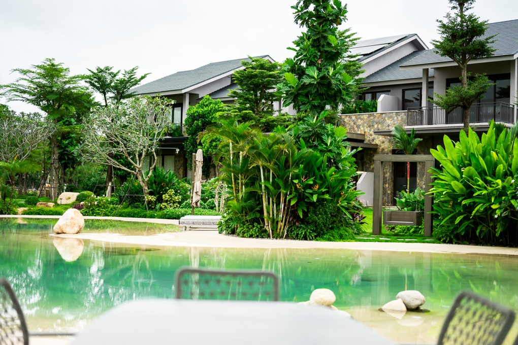 Thức giấc giữa thiên nhiên tại biệt thự rừng lần đầu tiên được Ecopark ra mắt - 4