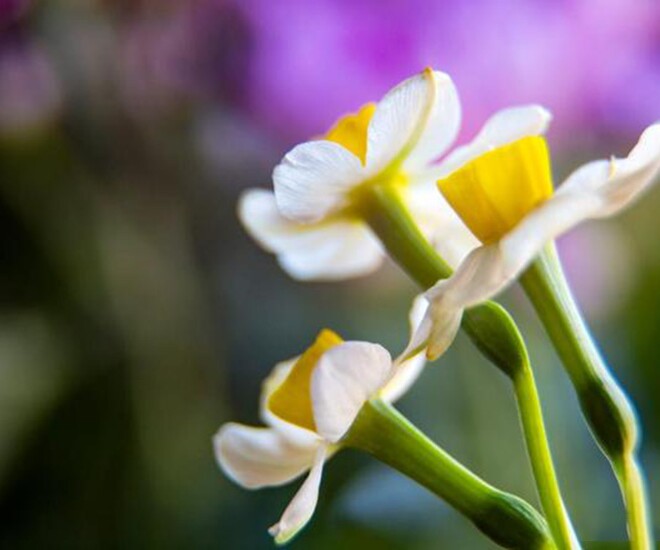 4 chữ trông đơn giản nhưng là khả năng phi thường nhất ở một người 3 4 chữ trông đơn giản nhưng là khả năng phi thường nhất ở một người - 3