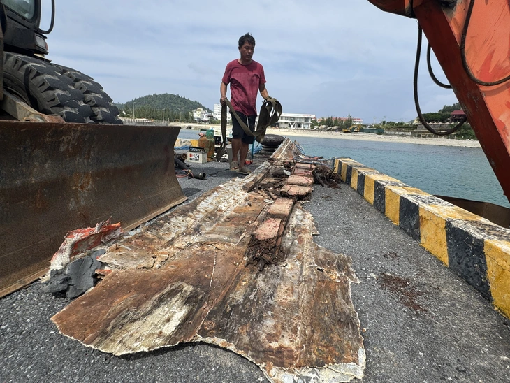 cứu hộ - Ảnh 2.