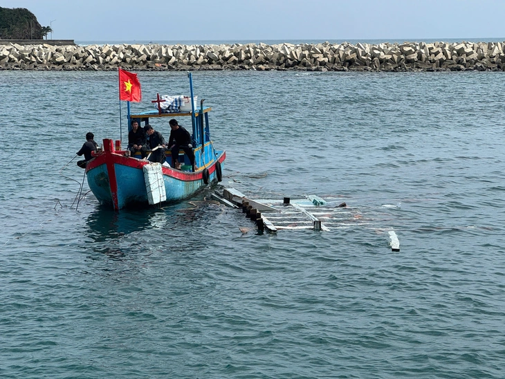 cứu hộ - Ảnh 6.