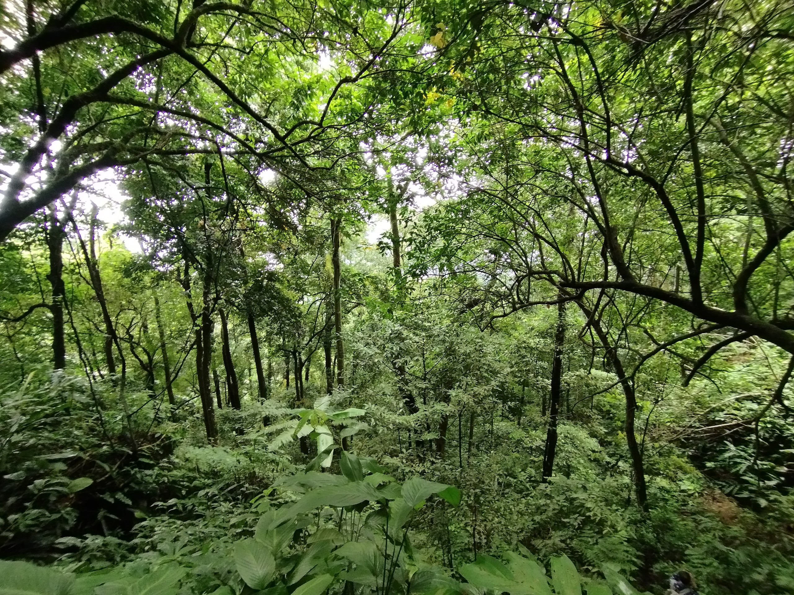 Mở tuyến Chinh phục đỉnh Pù Luông, đón du khách thích du lịch mạo hiểm về với xứ Thanh - Ảnh 7.