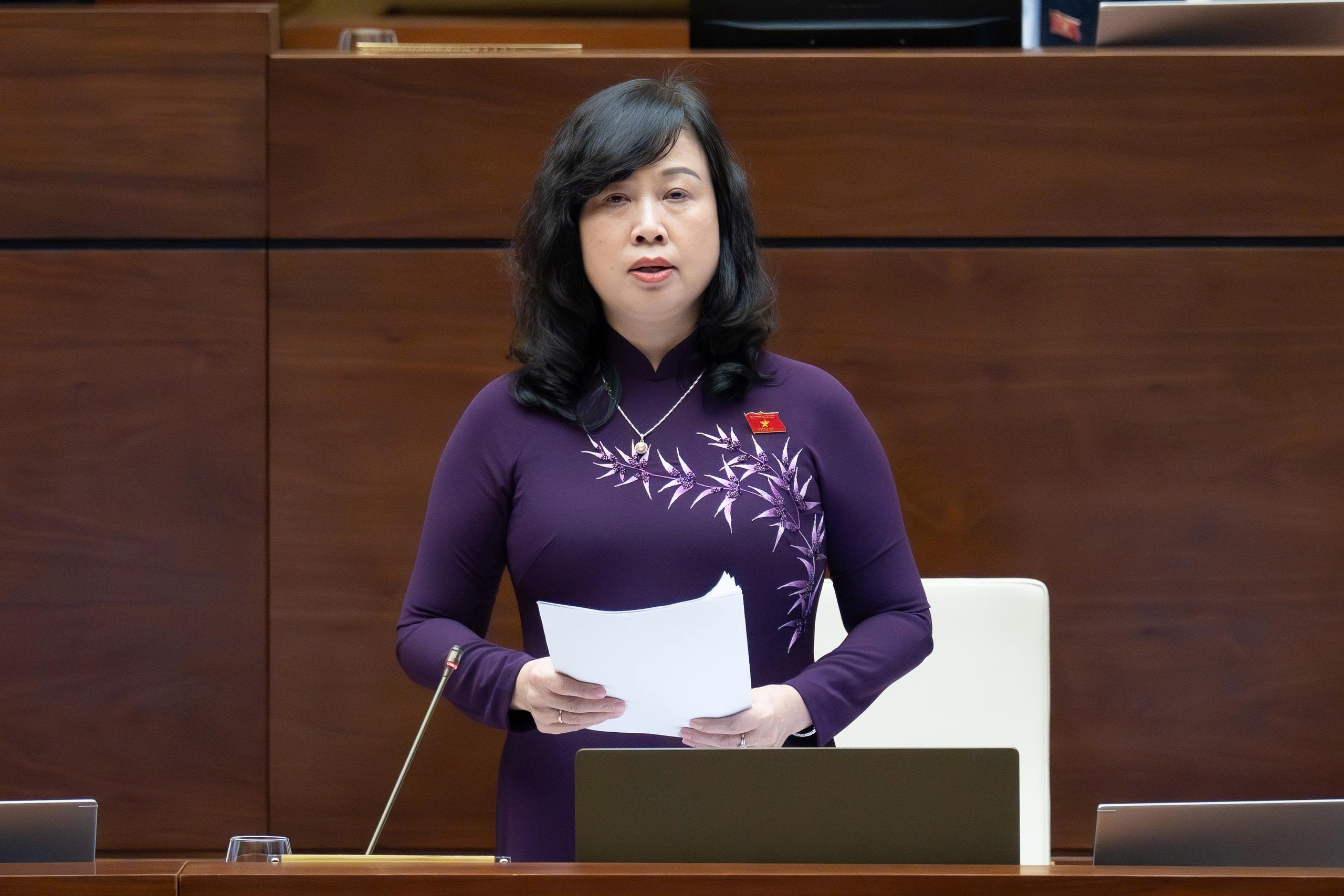 Đại biểu đề xuất công bố mức lương '1 người đi làm đủ nuôi 1 người con' - Ảnh 2.