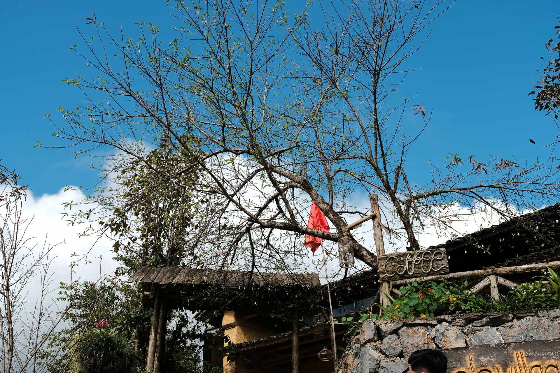 'Cảnh tượng chưa từng thấy' ở Lô Lô Chải hút du khách ghé thăm - 4