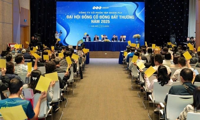 Tập đoàn FLC đại hội cổ đông bất thường, tiết lộ kế hoạch phát triển hãng hàng không trình Thủ tướng- Ảnh 2.