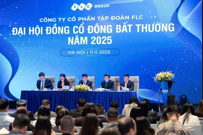 Tập đoàn FLC đại hội cổ đông bất thường, tiết lộ kế hoạch phát triển hãng hàng không trình Thủ tướng- Ảnh 3.