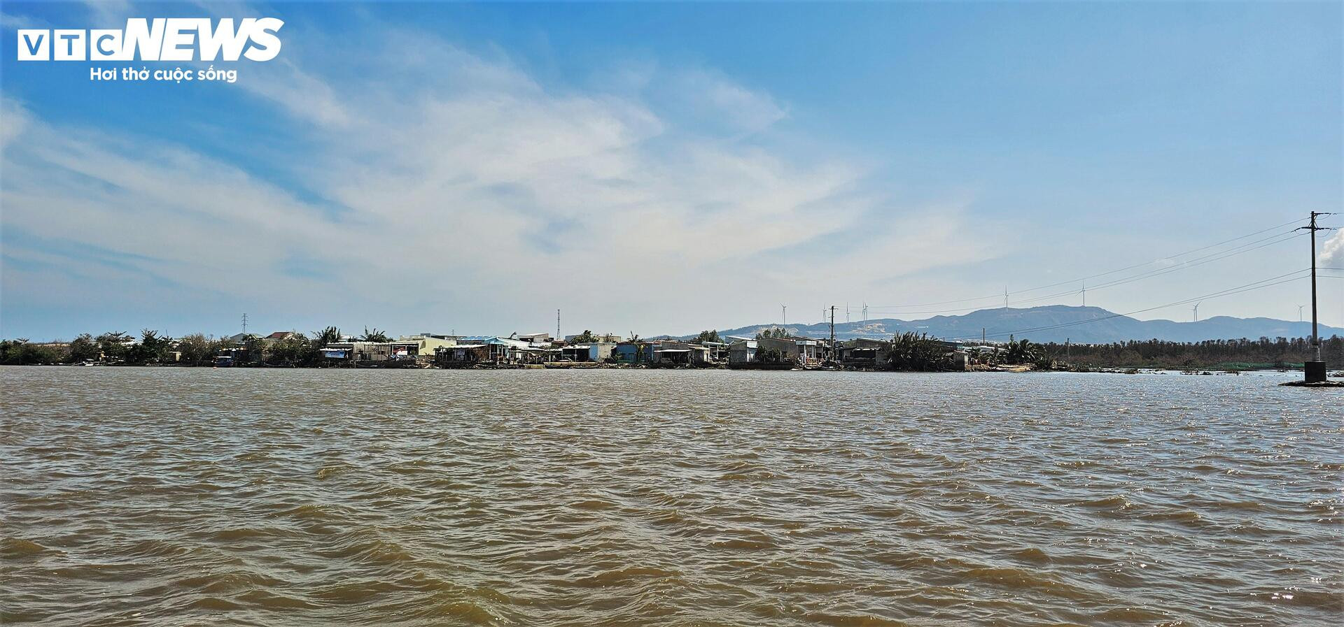 ‘Ốc đảo xanh’ tại Gia Lai sau bão Kalmaegi: Người mất nhà, chim mất tổ- Ảnh 2.