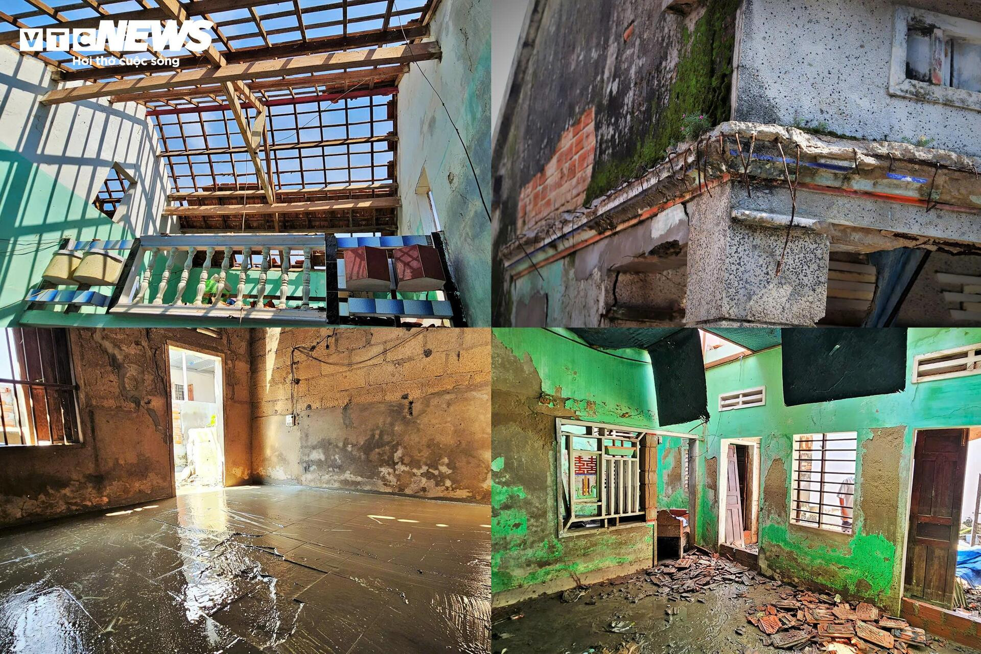 ‘Ốc đảo xanh’ tại Gia Lai sau bão Kalmaegi: Người mất nhà, chim mất tổ- Ảnh 5.