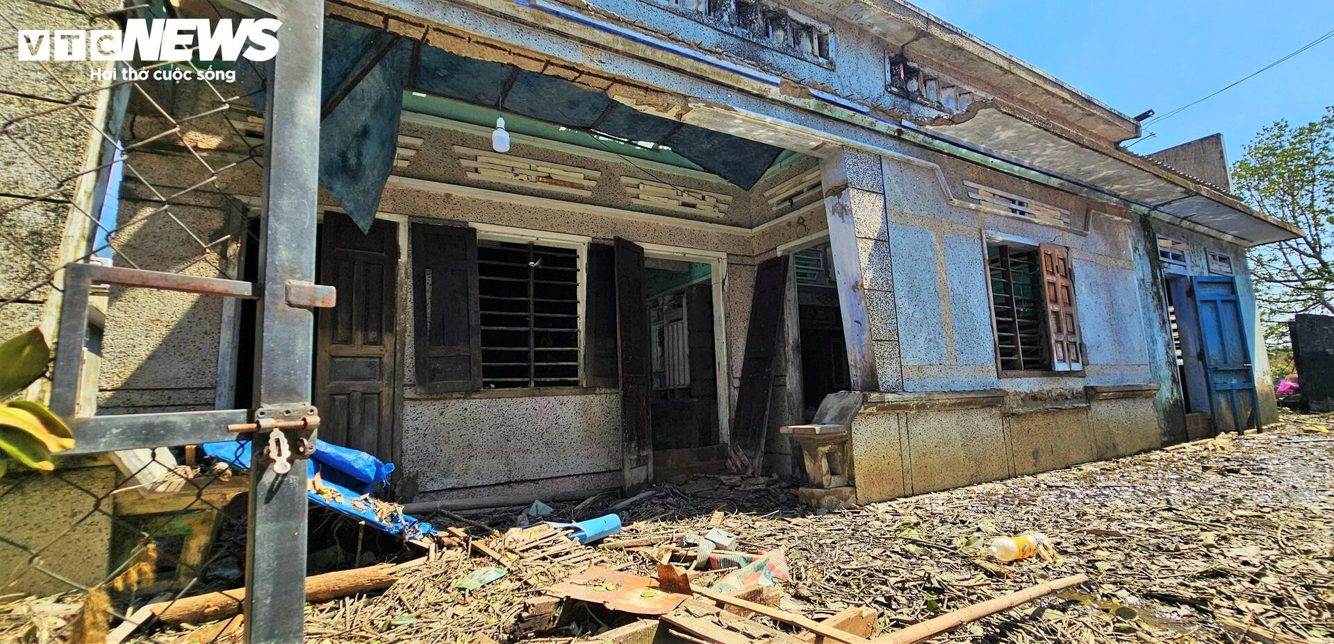 ‘Ốc đảo xanh’ tại Gia Lai sau bão Kalmaegi: Người mất nhà, chim mất tổ- Ảnh 4.