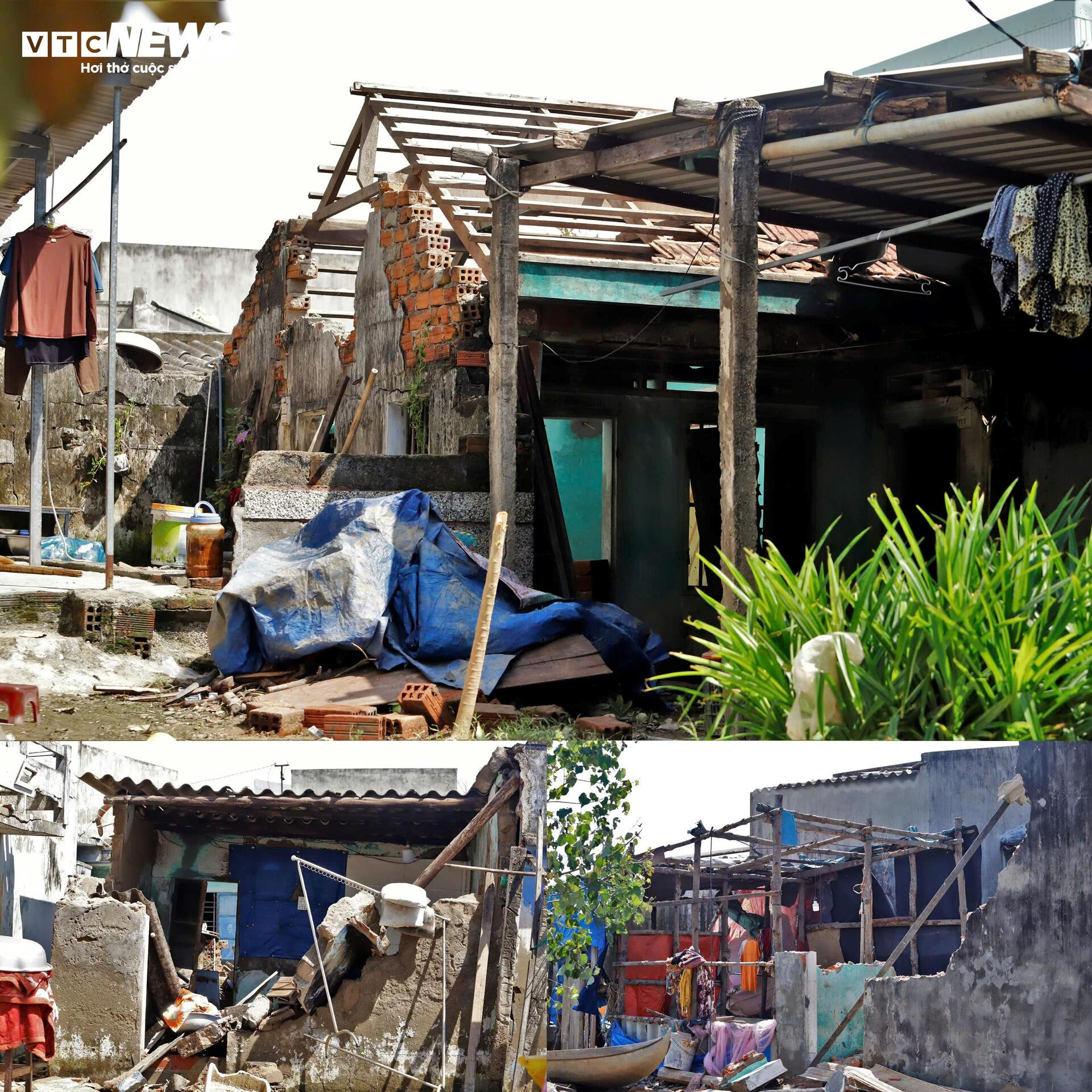 ‘Ốc đảo xanh’ tại Gia Lai sau bão Kalmaegi: Người mất nhà, chim mất tổ- Ảnh 6.