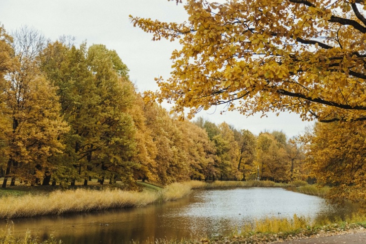 Theo chân khách Việt săn khoảnh khắc thu vàng nước Nga - 4