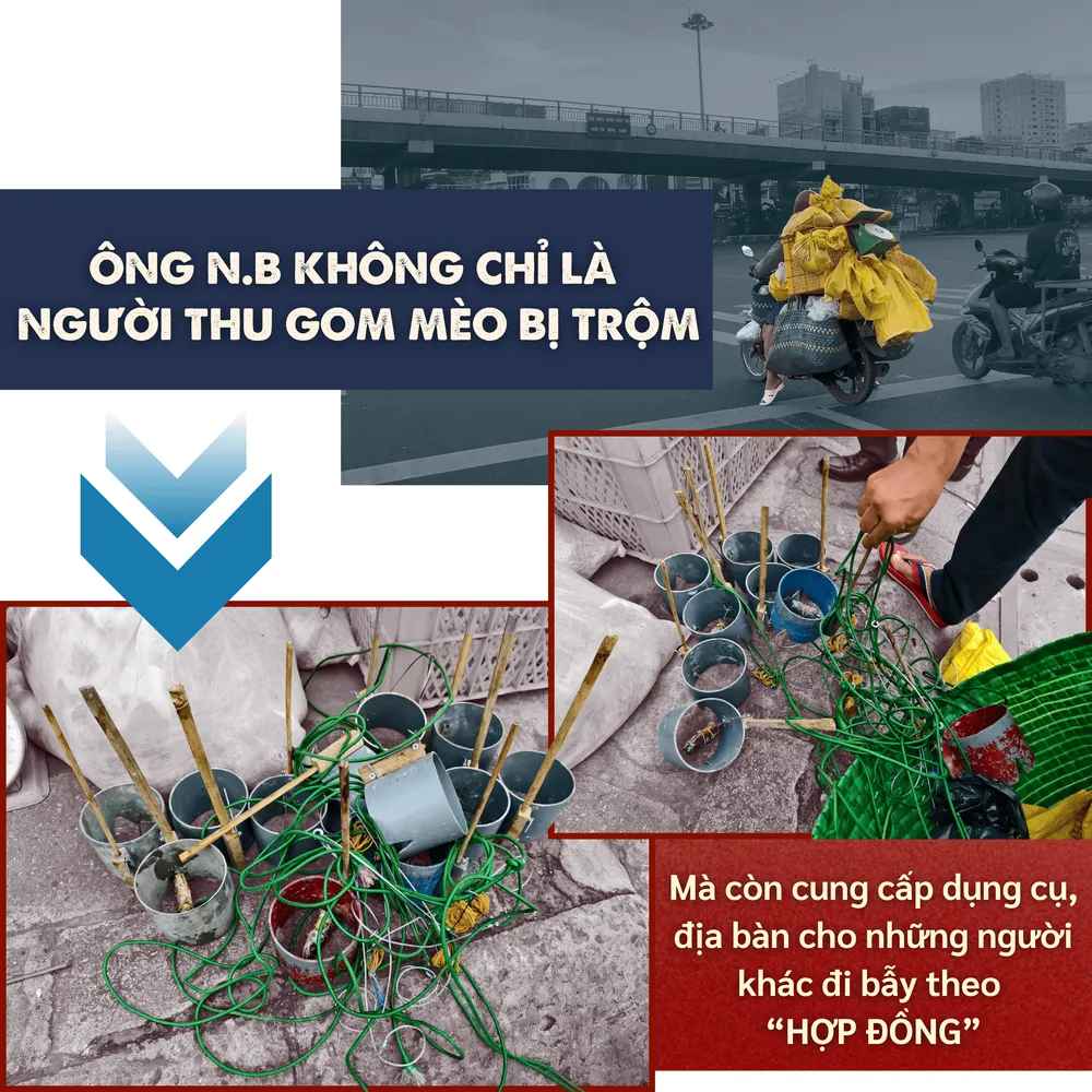 ẢNH GHÉP 10 - Ông Bình không chỉ là người thu gom mèo bị trộm mà còn cung cấp dụng cụ, chỉ địa bàn cho những người khác đi bẫy theo “hợp đồng”.png