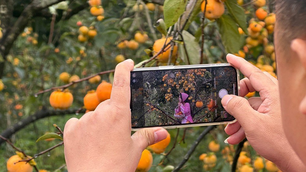 Mộc Châu mùa hồng chín, ai đến cũng ngẩn ngơ - 9