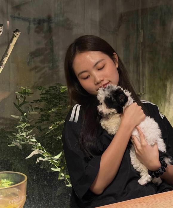 Sao Việt 12/11, tin sao việt mới nhất, sao việt